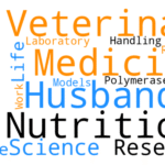 Buy Verified Binance Accounts: What You Need to Know