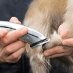 Busy Books: What They Are and How They Help Kids Learn