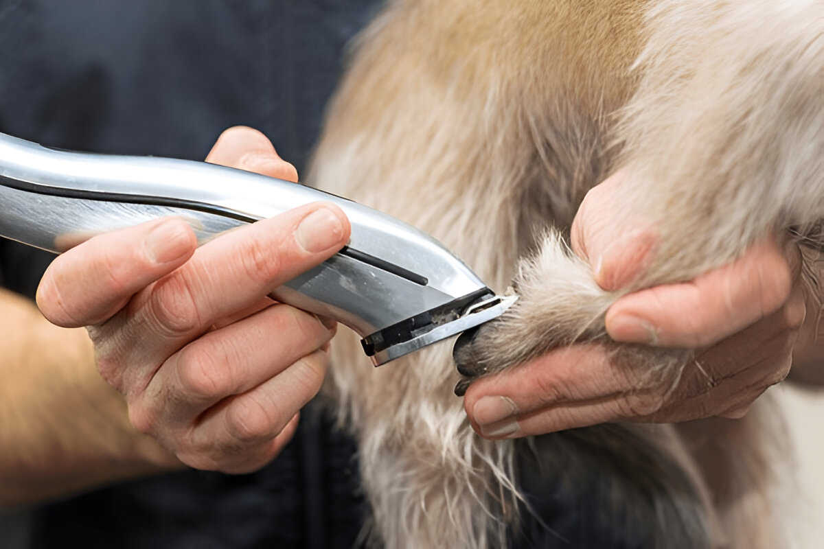 mobile dog clippers