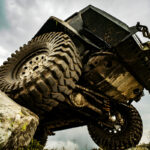 Mobile Dog Clippers: What You Need to Know