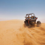 Sweat  Socialize  Connect — The Power of Fitness Culture