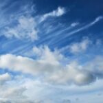 How Can Retail Business Management Automation Improve Your Store Operations?