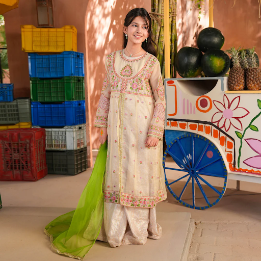 Where Can I Buy Pakistani Party Wear Dresses for Girls?